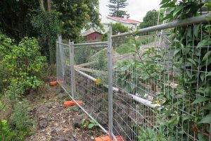 The fence alongside the Alberton Lane development