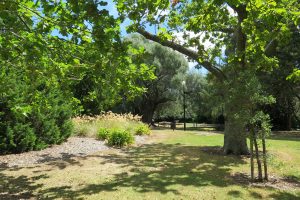 Alice Wylie Reserve in Mt Albert