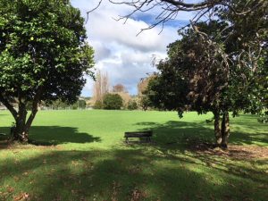 Mt Albert's Fowlds Park