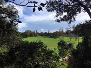 Mt Albert's Fowlds Park