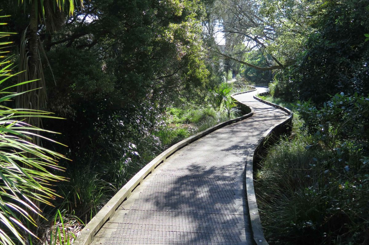 Roy Clements Treeway Mt Albert