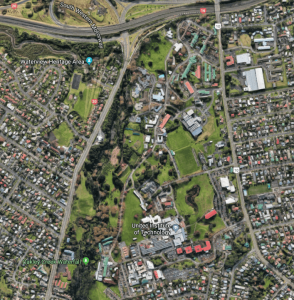 The Unitec land in Mt Albert