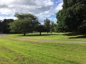 Unitec land at Mt Albert