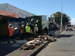 Mt Albert village trees down