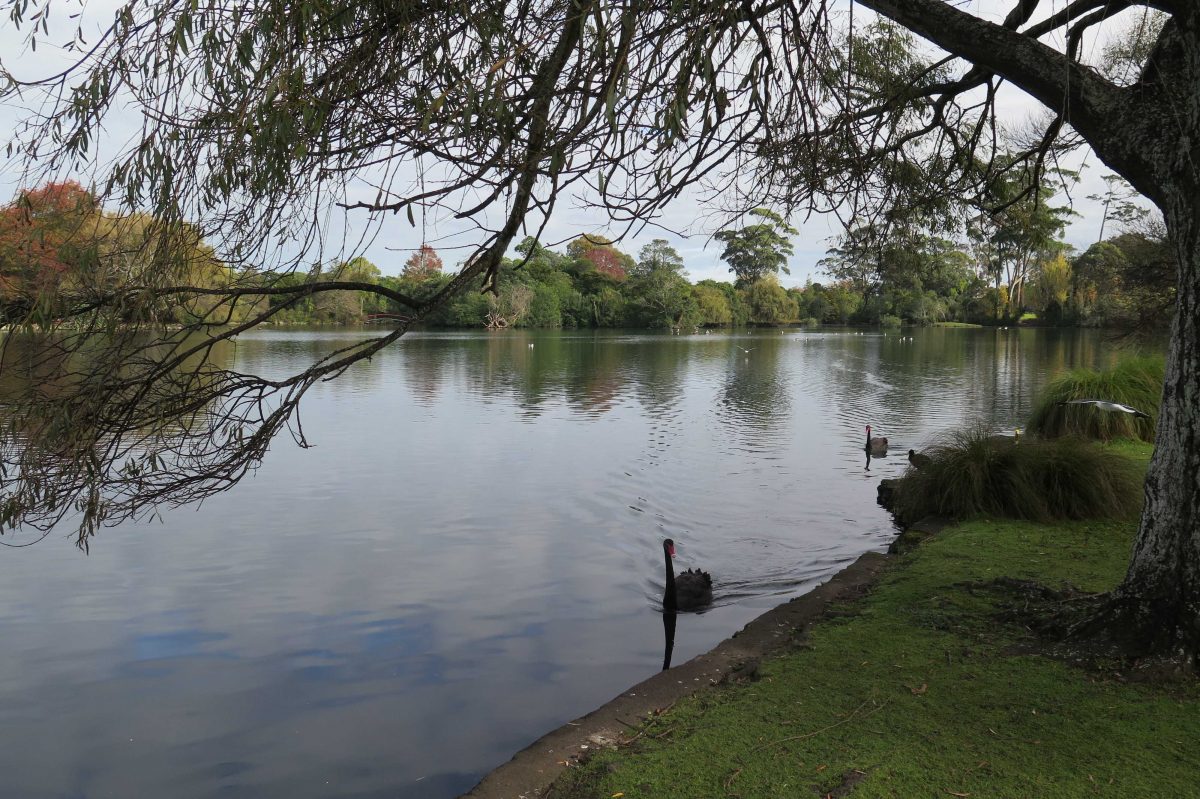 Western Springs Park in Mt Albert