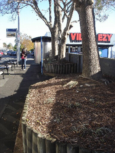 Mt Albert village before the upgrade