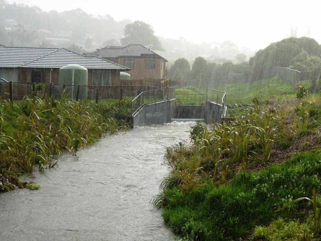 Flooding at Meola Creek