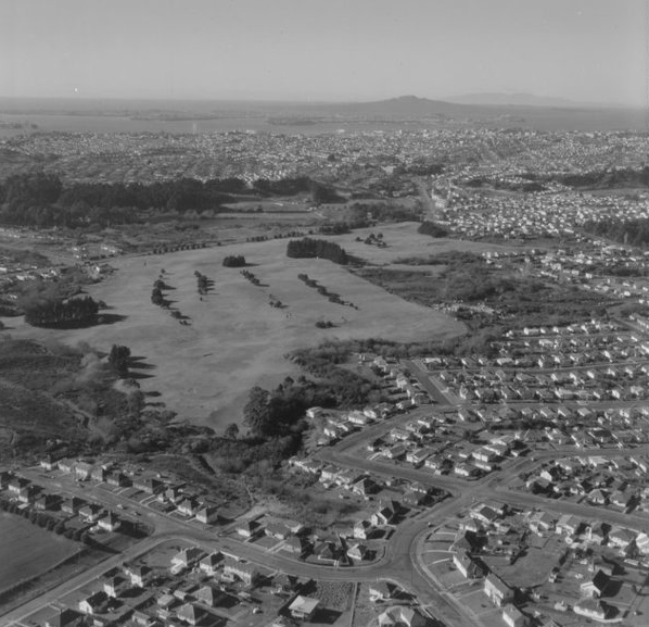 Aerial Chambelain Park