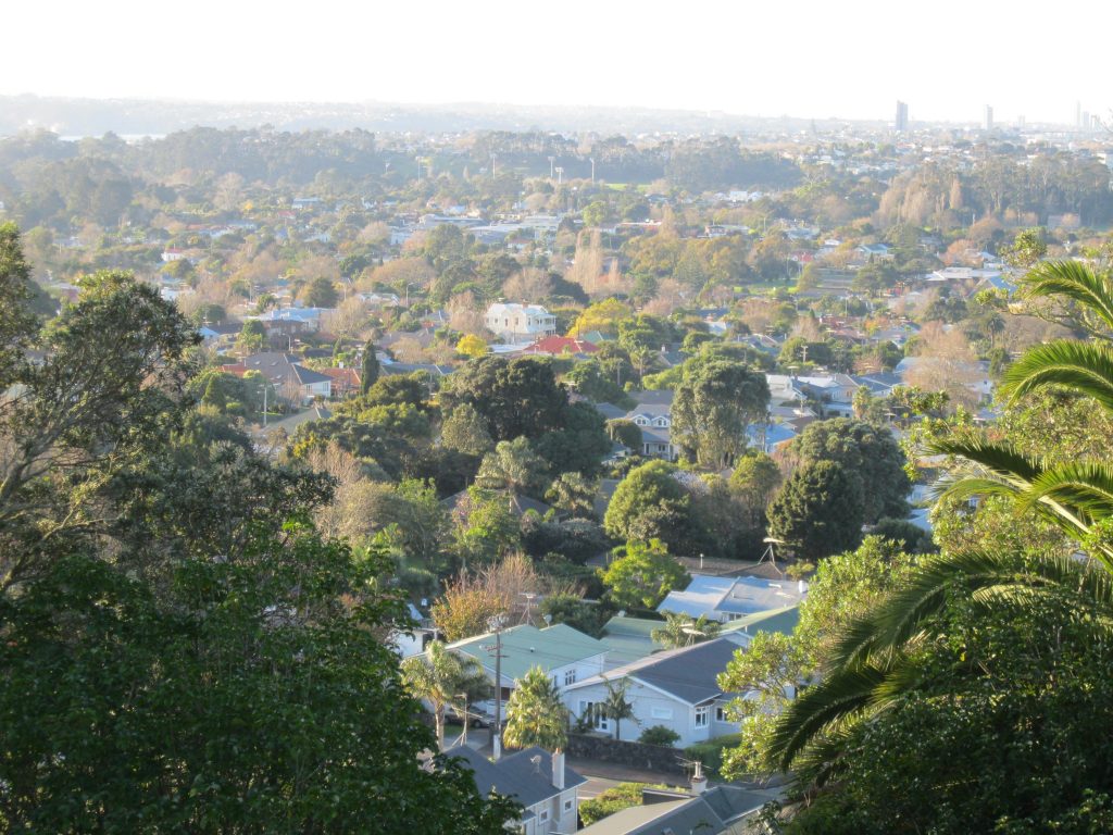 View from top of Mt Albert